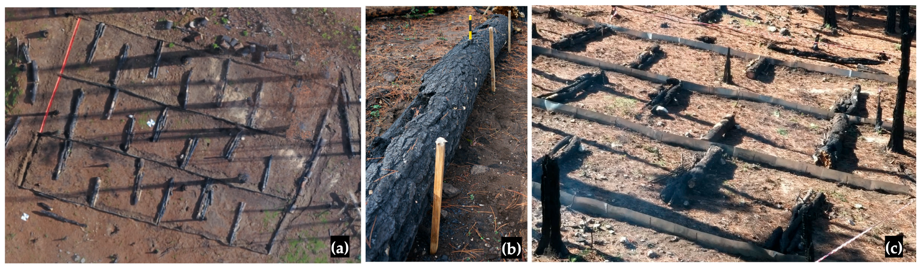 Water 15 02378 sch002