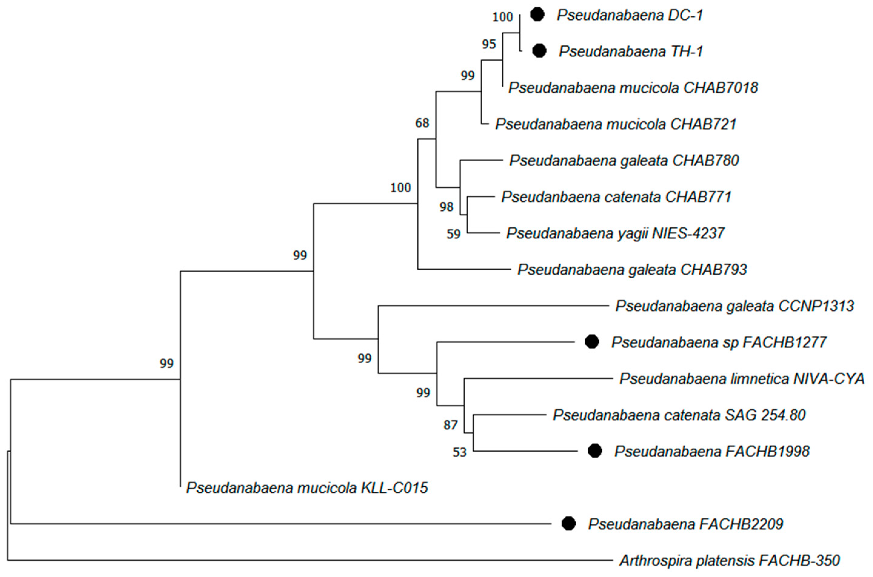 Water 15 02404 g001 Water 15 02404 g001