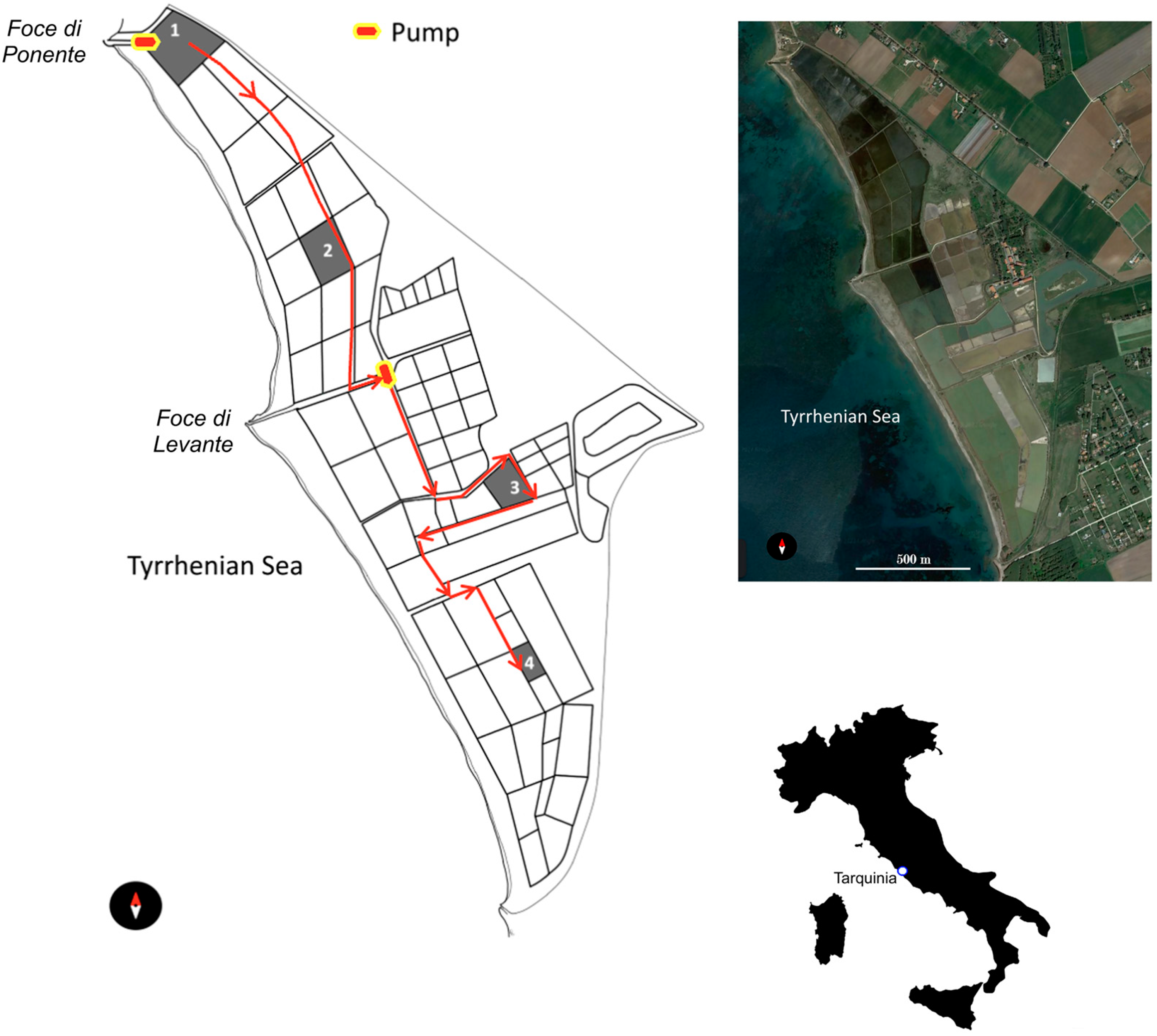 Water 15 02419 g001 Water 15 02419 g001