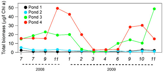 Temporal Evolution of Phytoplankton Metacommunity in a Disused ...
