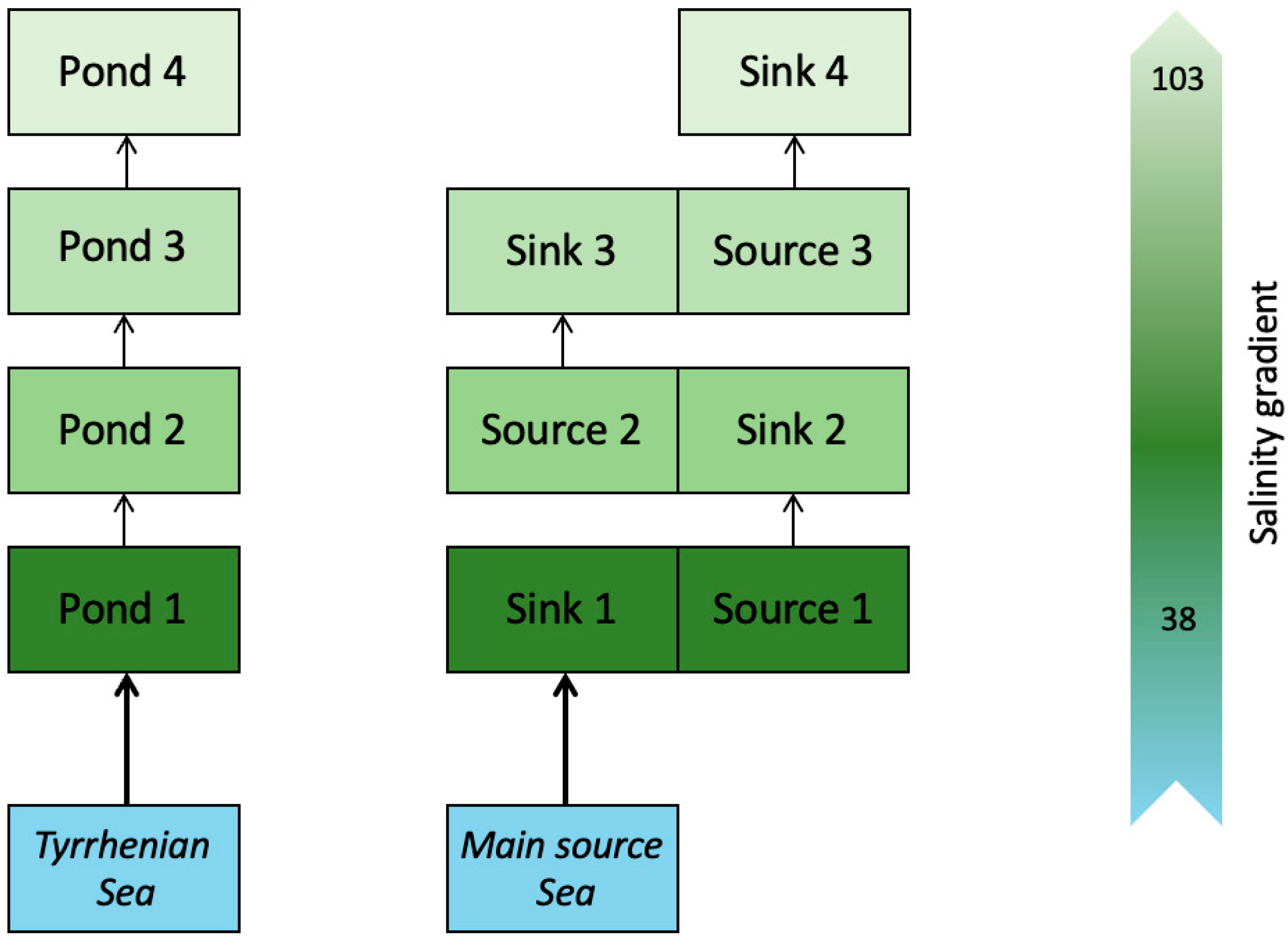 Water 15 02419 g008 Water 15 02419 g008
