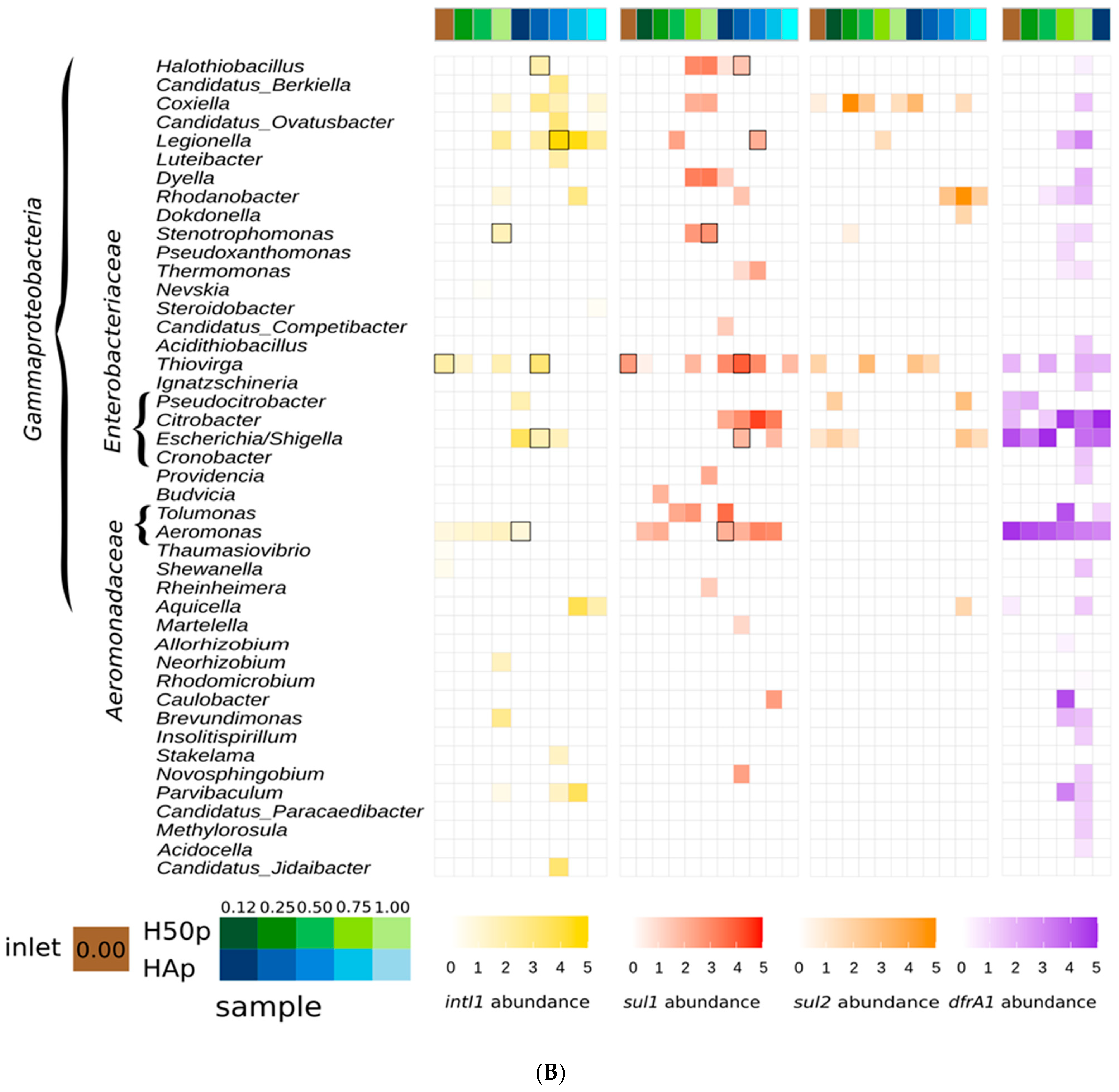 Water 15 02432 g001b