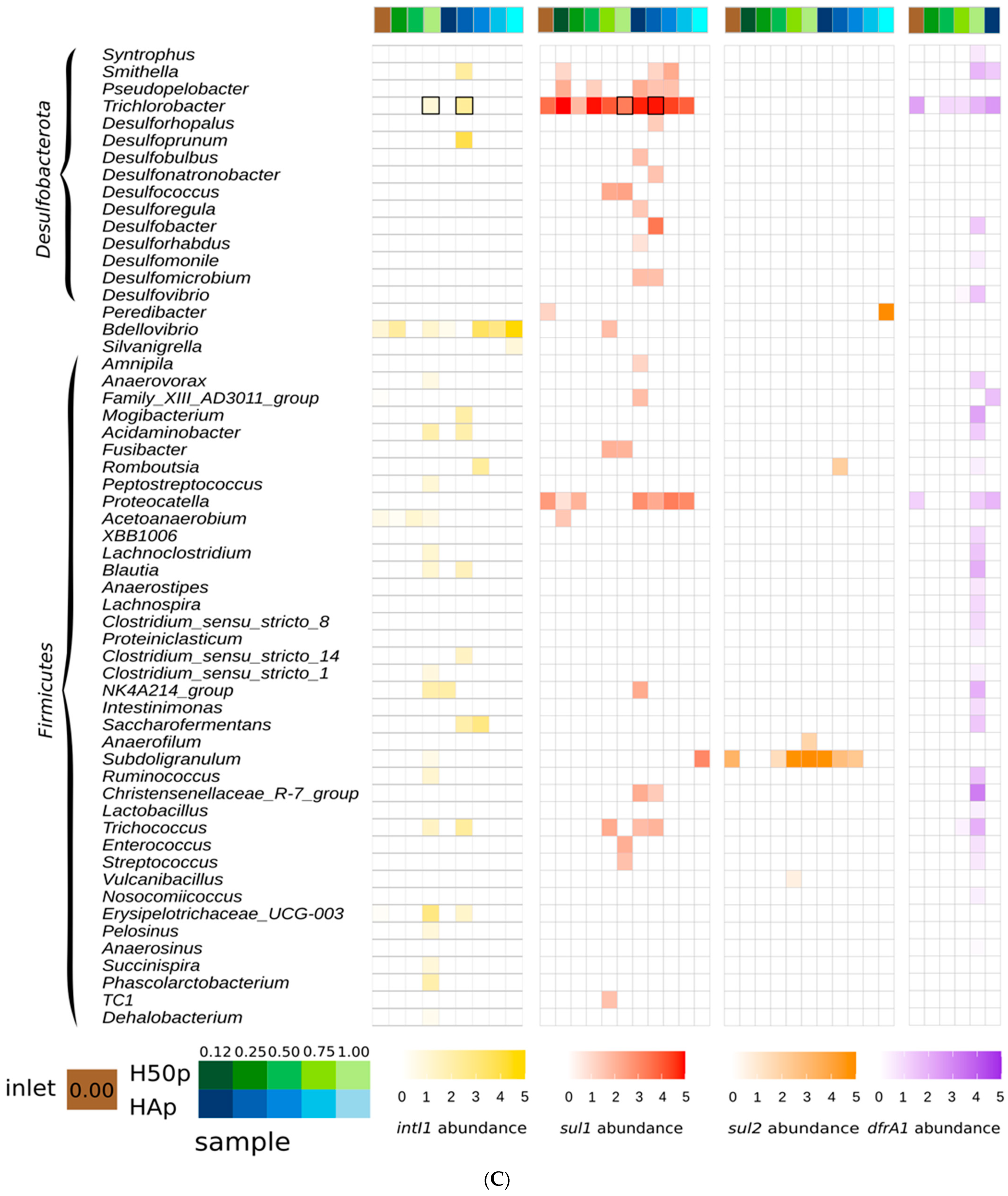 Water 15 02432 g001c