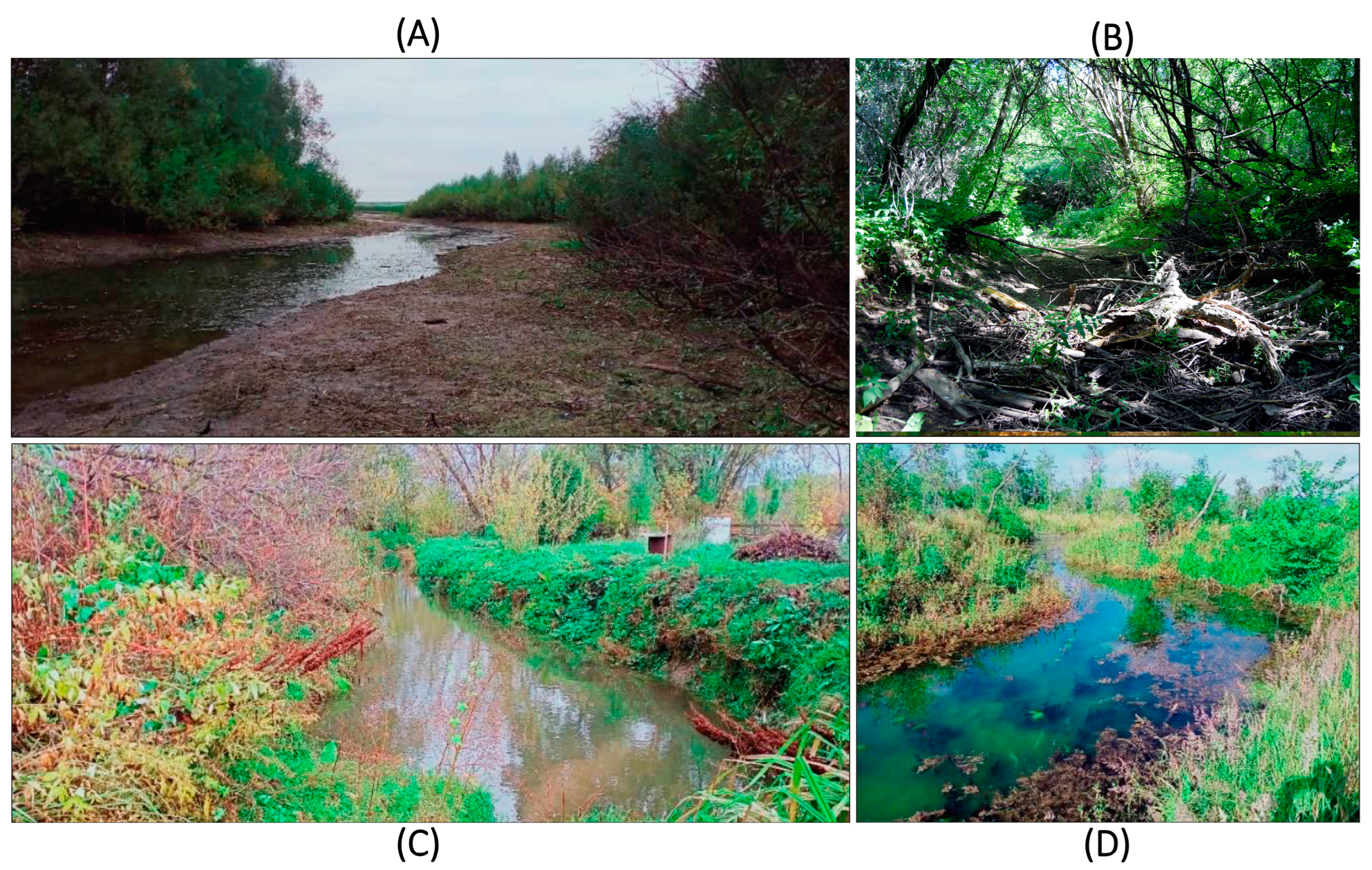 Water 15 02491 g003 Water 15 02491 g003