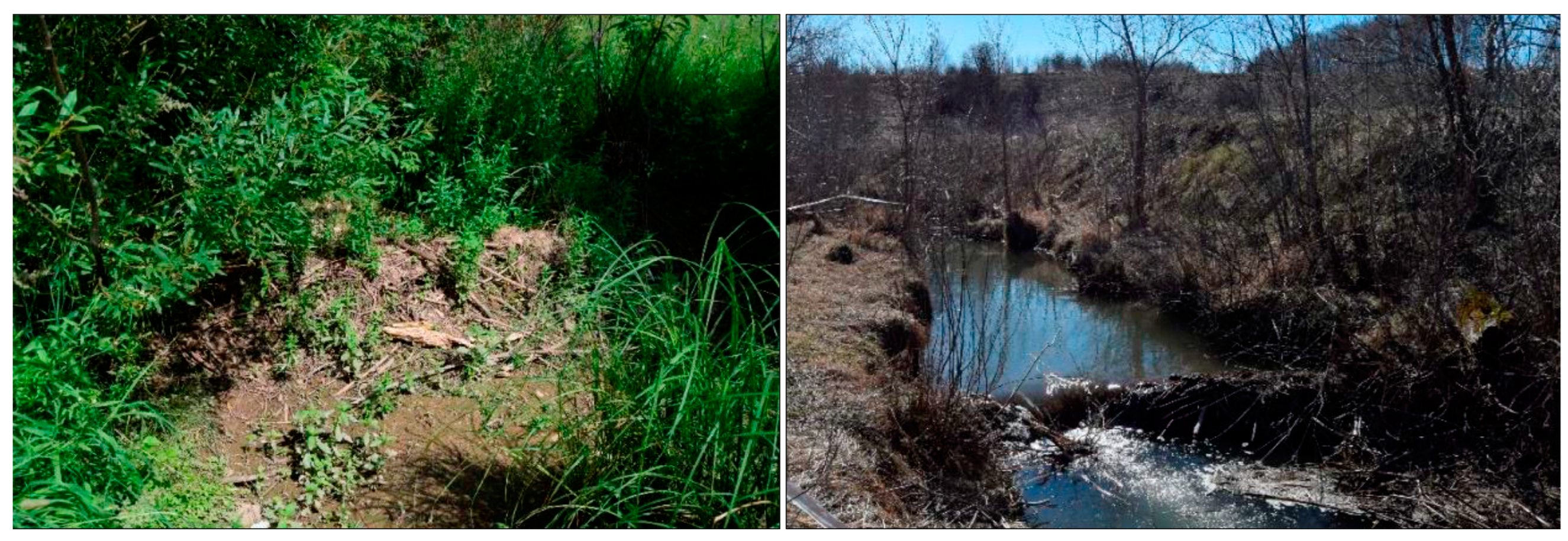 Water 15 02491 g007 Water 15 02491 g007