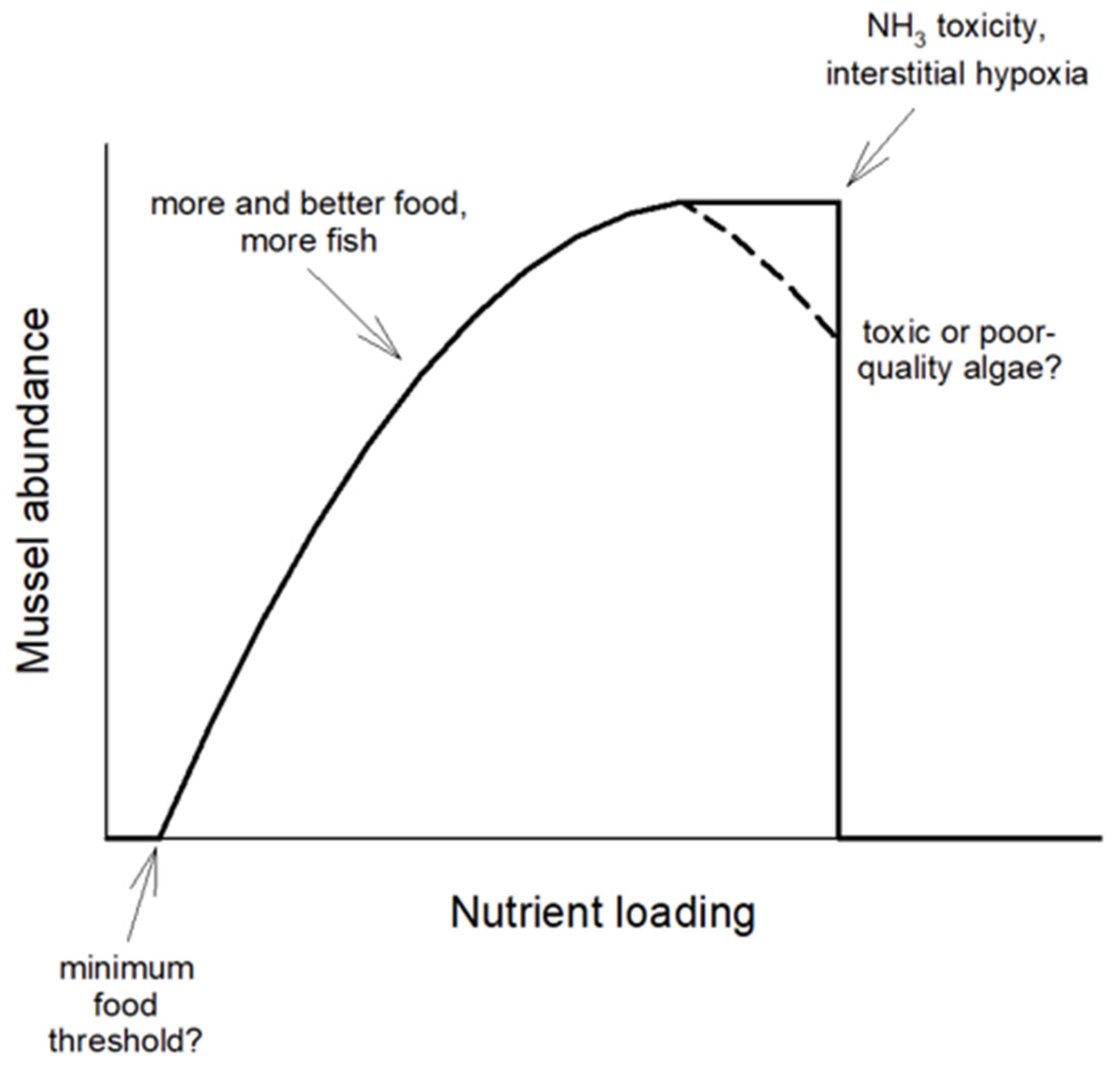 Water Free FullText Freshwater Mussels, Ecosystem Services, and