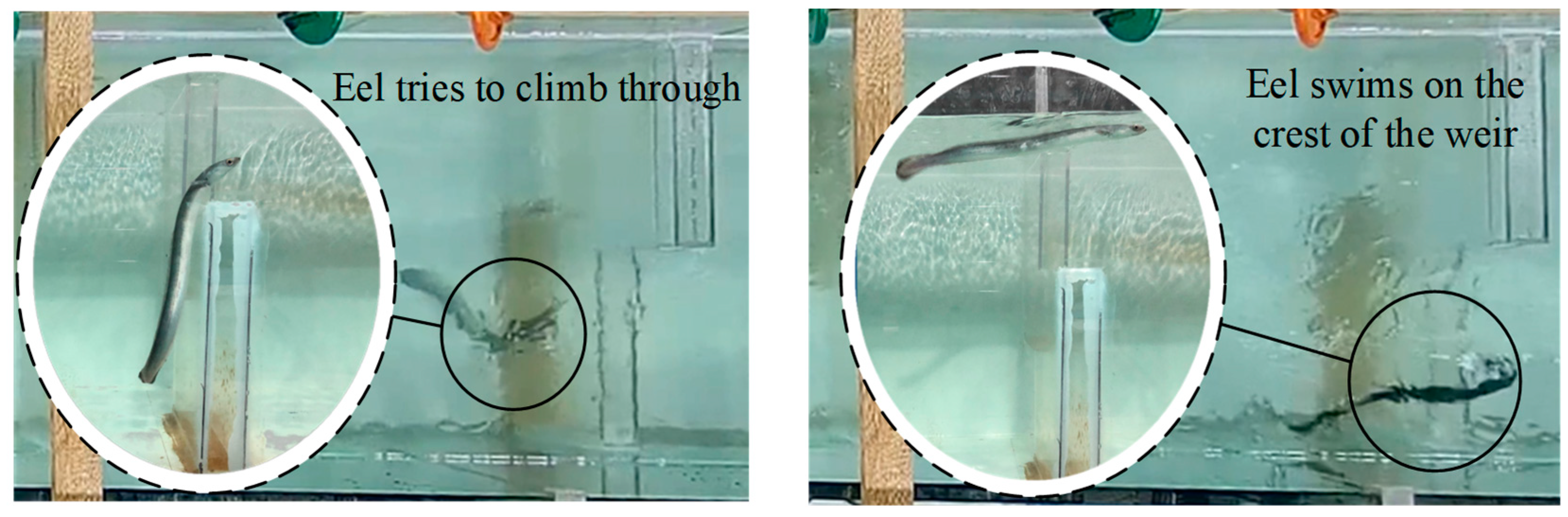 Water 15 02585 g007 Water 15 02585 g007