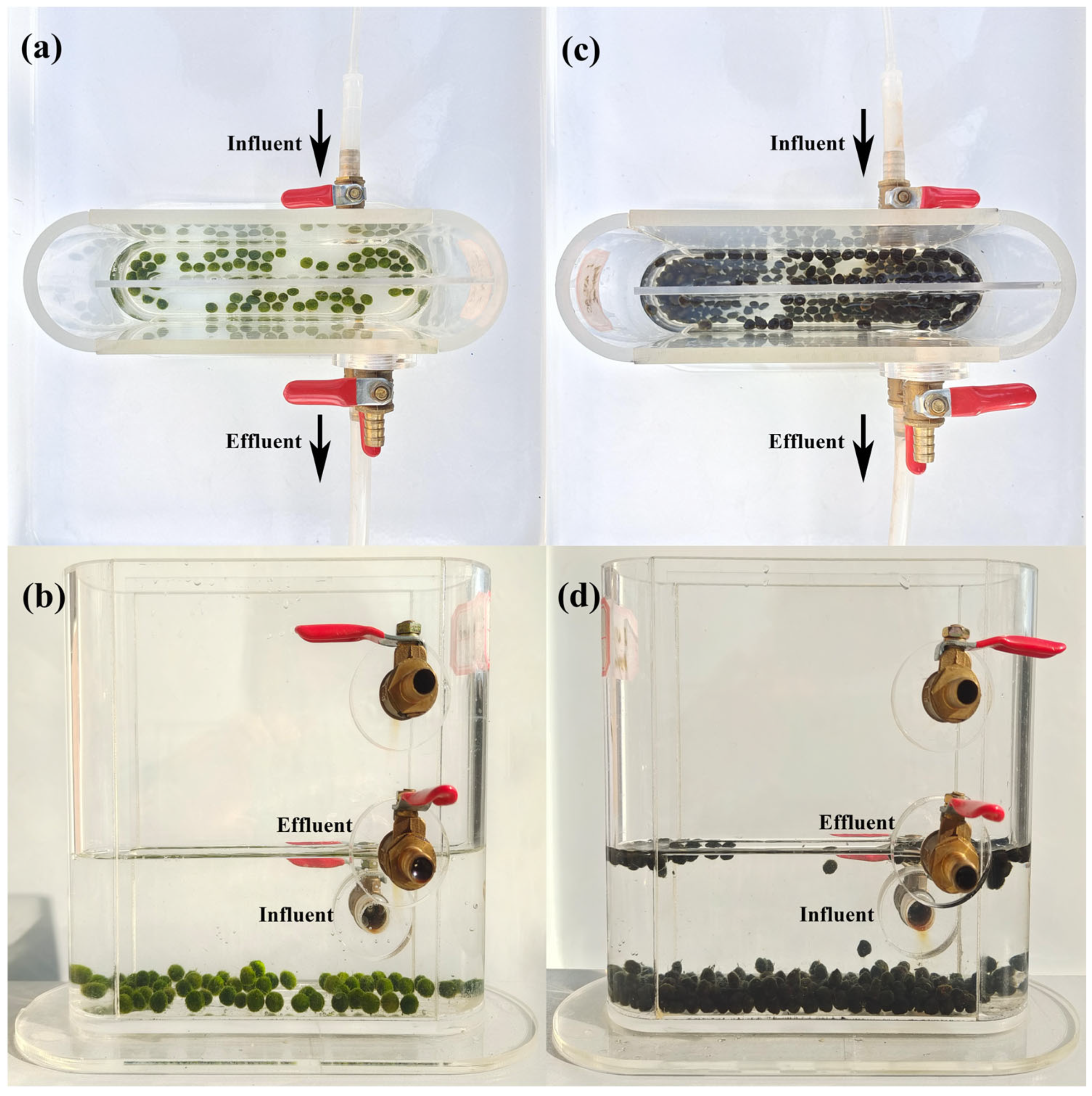 Water 15 02605 g001 Water 15 02605 g001