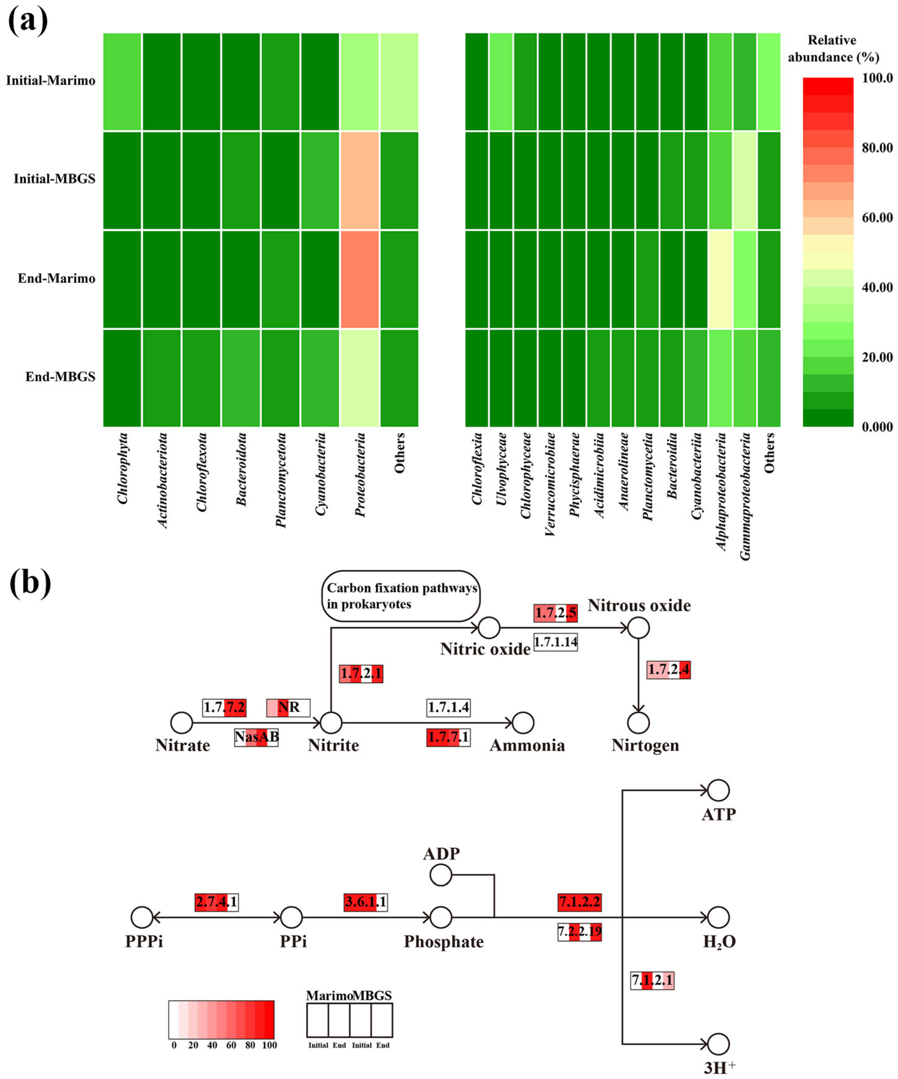 Water 15 02605 g006 Water 15 02605 g006