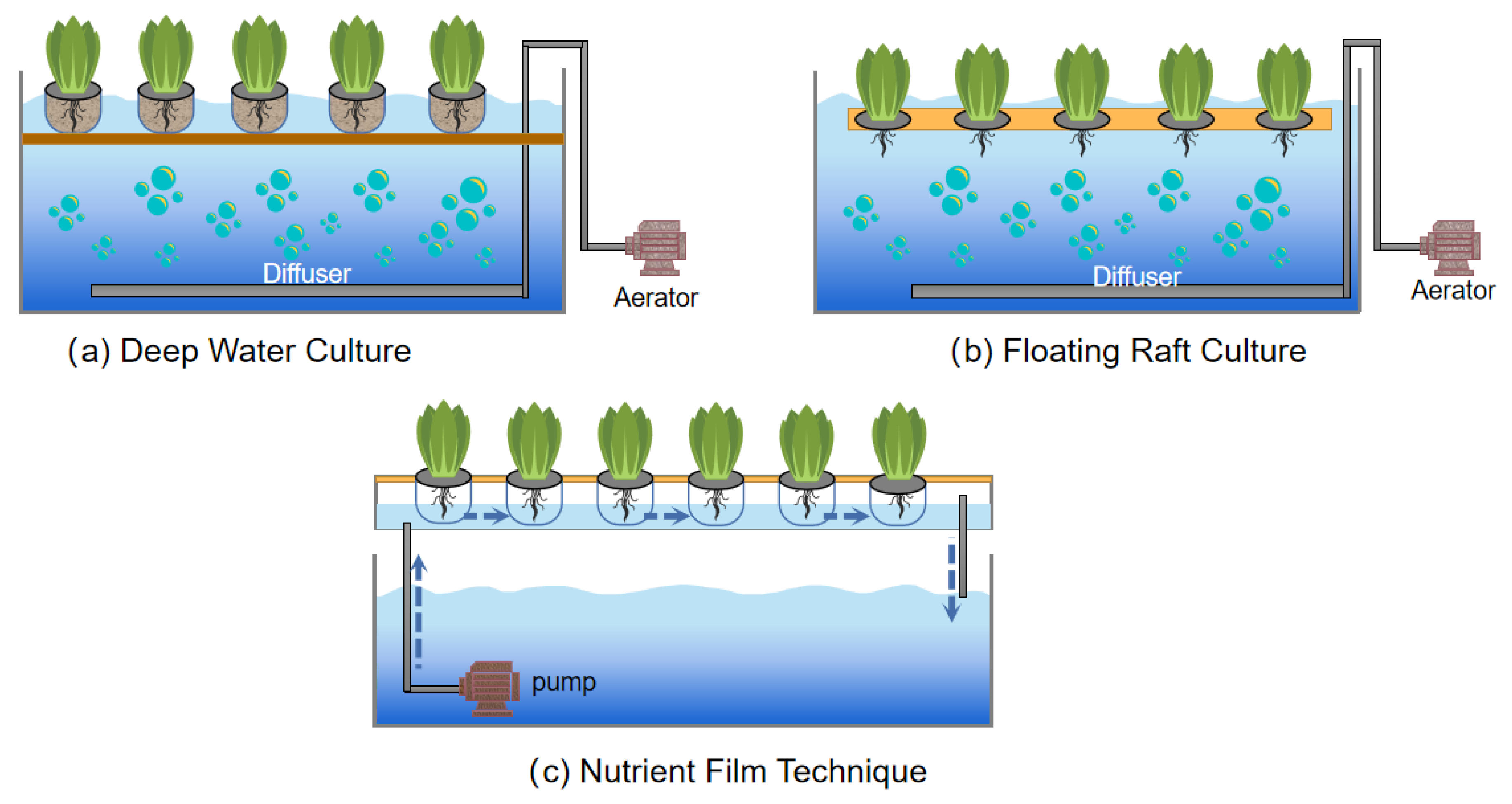 Economic feasibility of adopting a hydroponics system on substrate