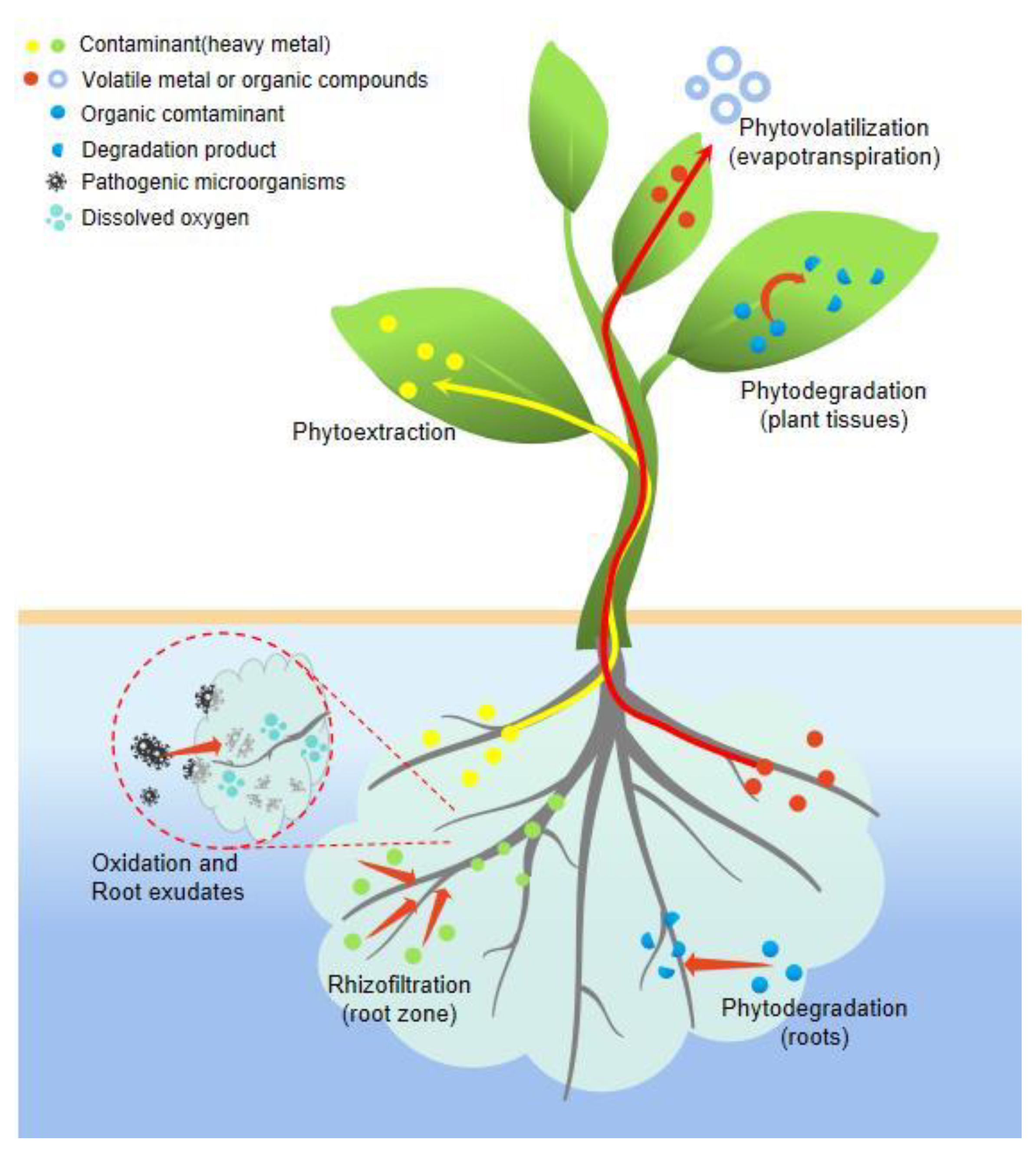 Water 15 02614 g002 Water 15 02614 g002