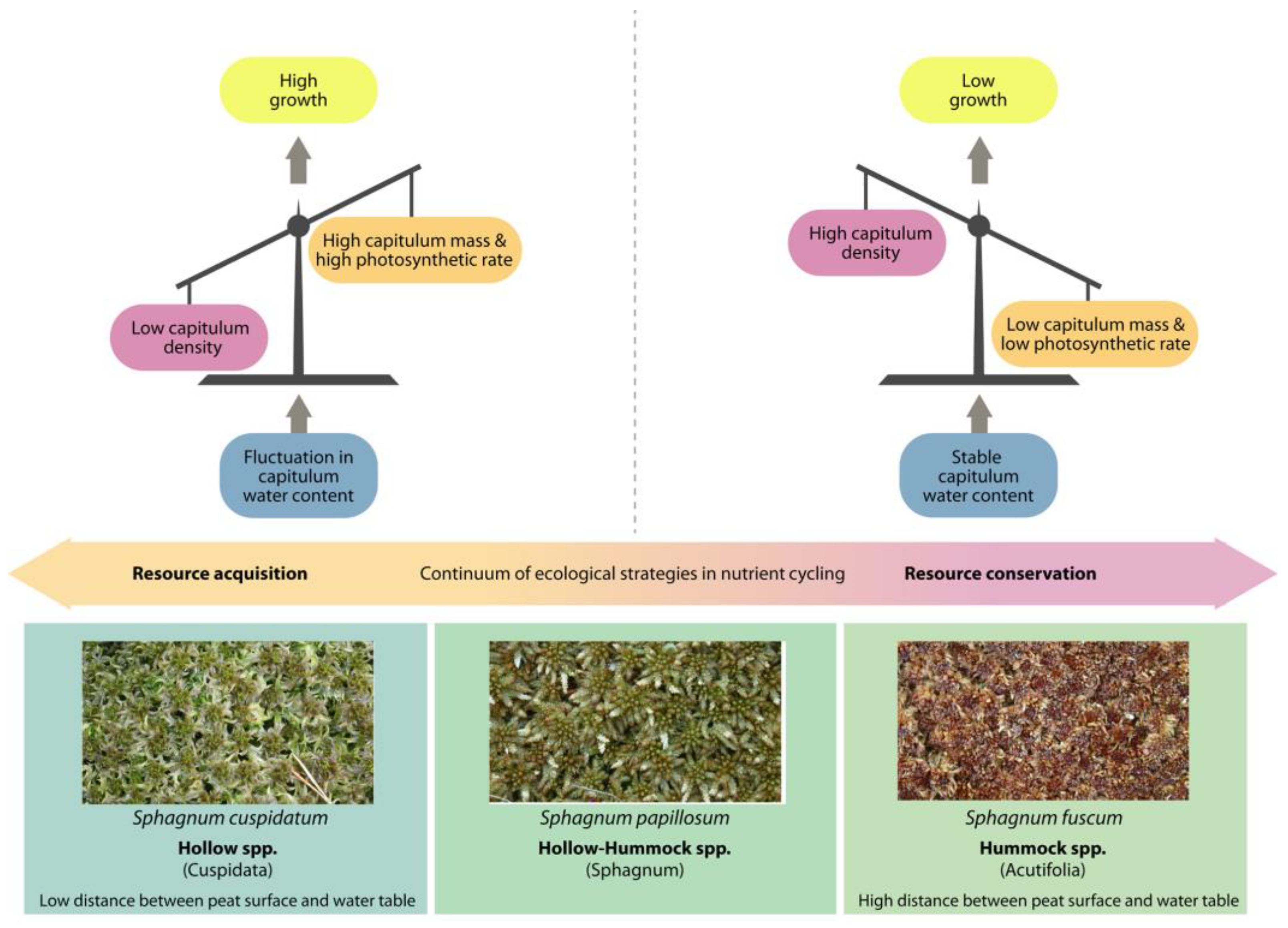 Water 15 02626 g002 Water 15 02626 g002