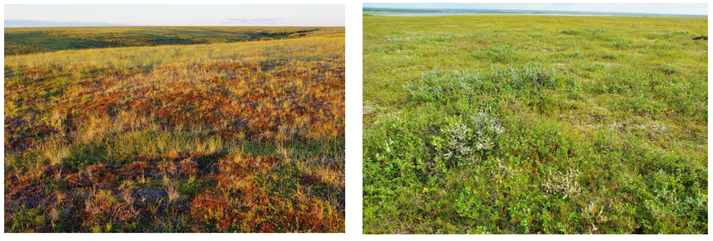 Water 15 02626 g004a Water 15 02626 g004a