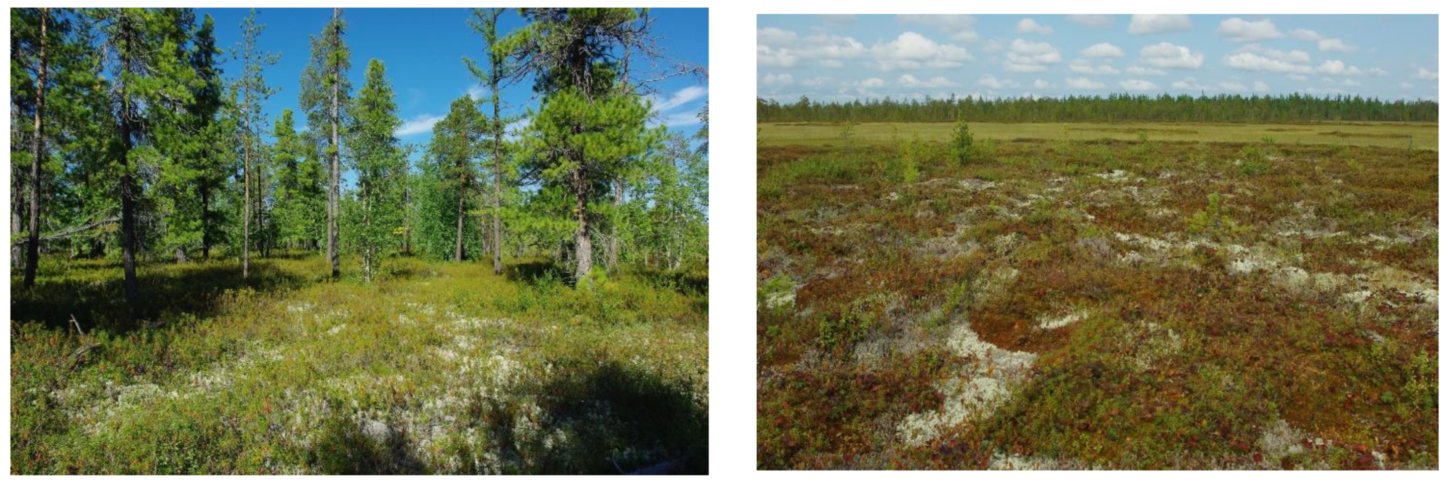 Water 15 02626 g004b Water 15 02626 g004b