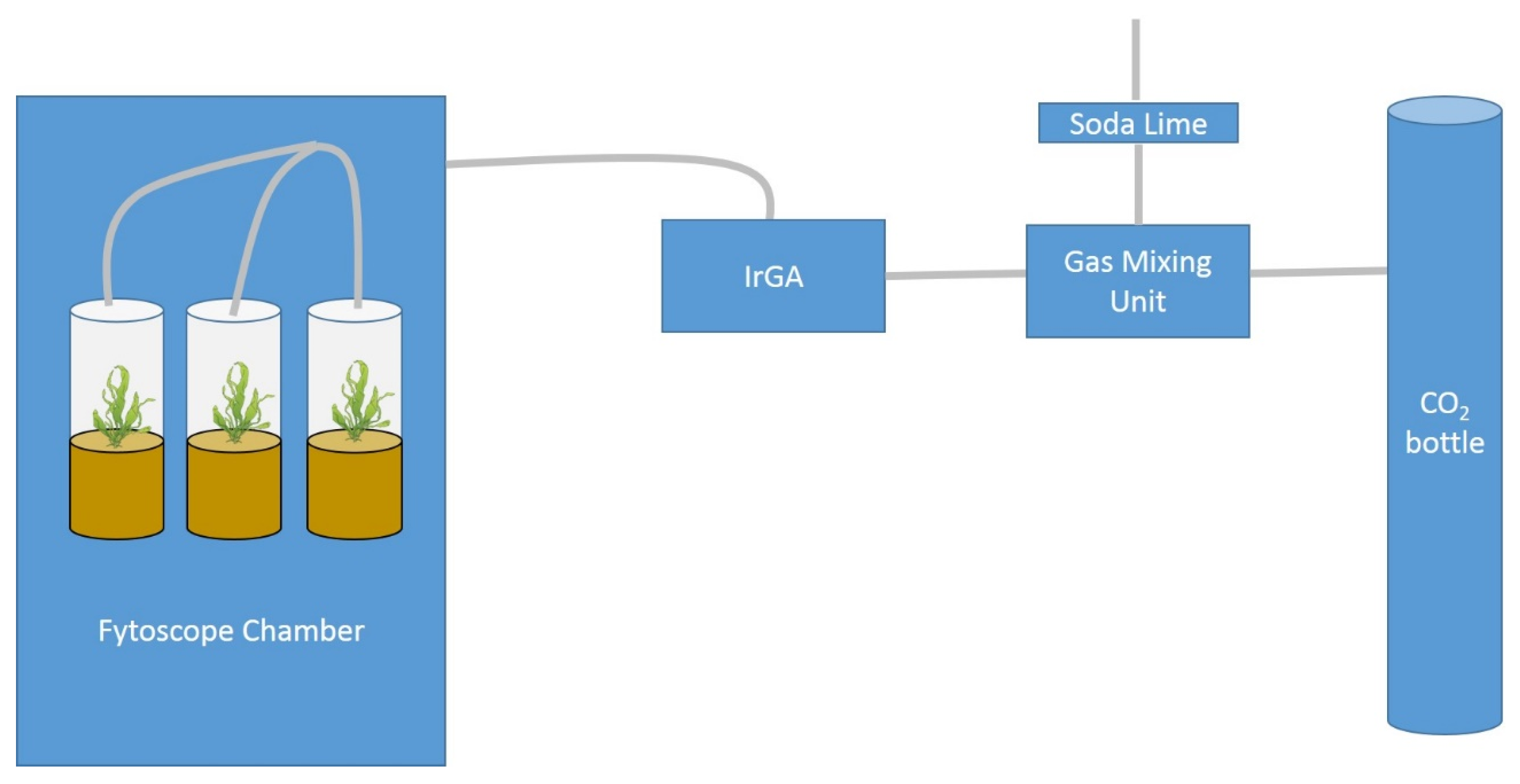 Water 15 02667 g001 Water 15 02667 g001