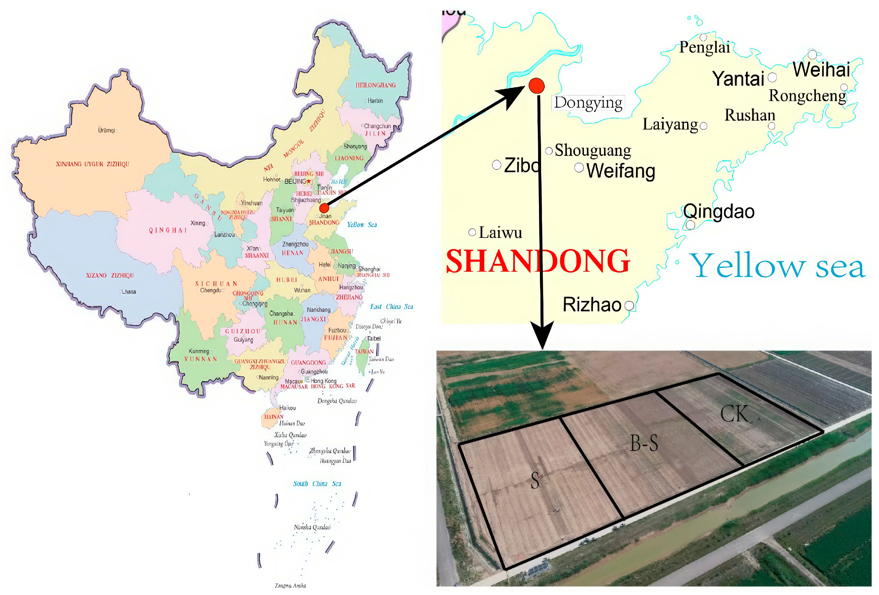 Water 15 02701 g001 Water 15 02701 g001