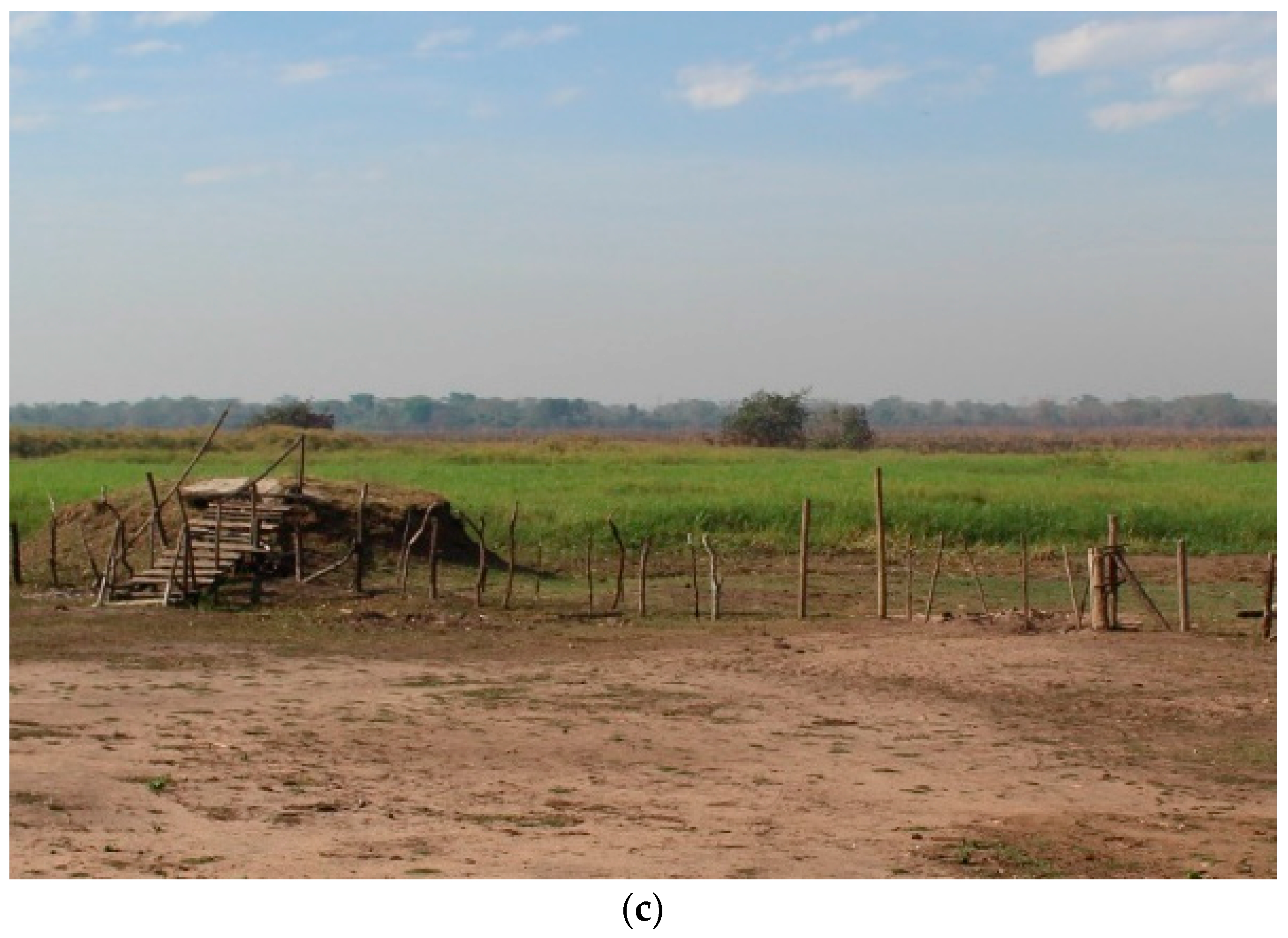 Water 15 02765 g002b