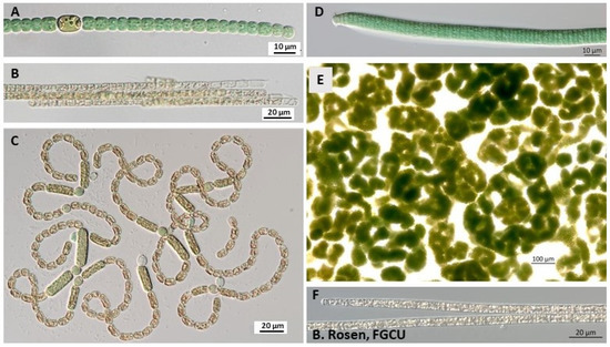 Toxic Algae in Inland Waters of the Conterminous United