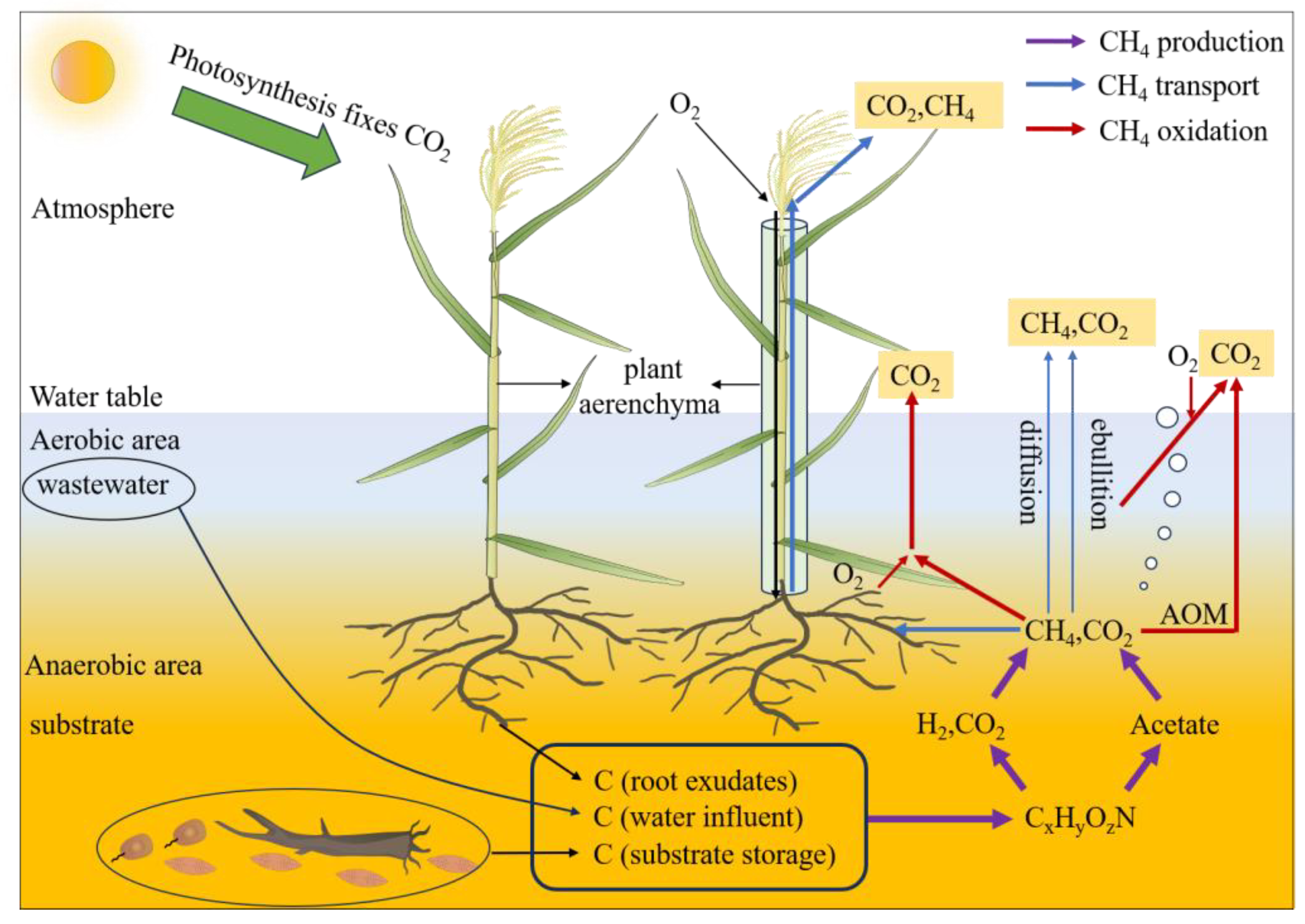 Water 15 02871 g002 Water 15 02871 g002