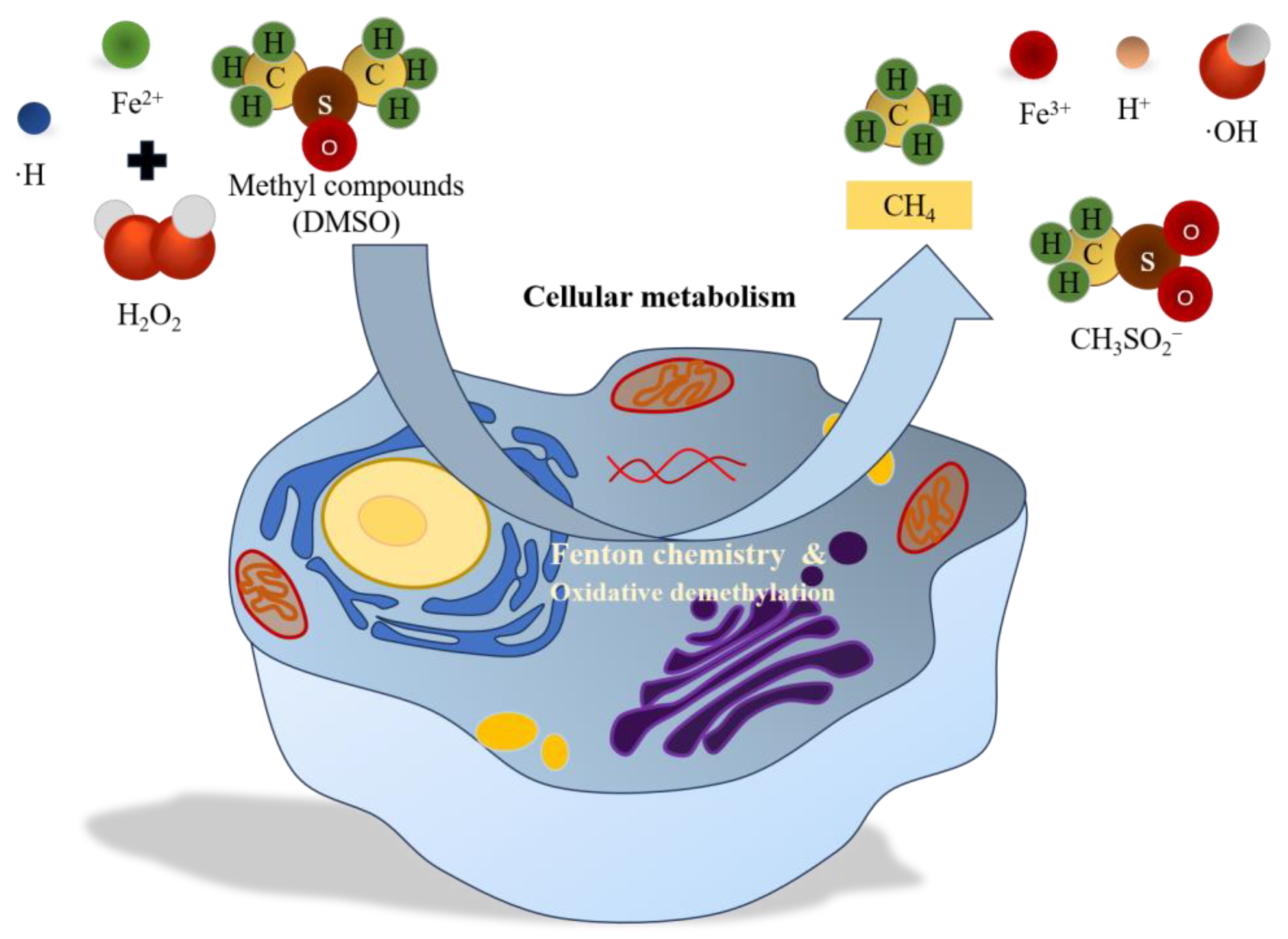 Water 15 02871 g003 Water 15 02871 g003