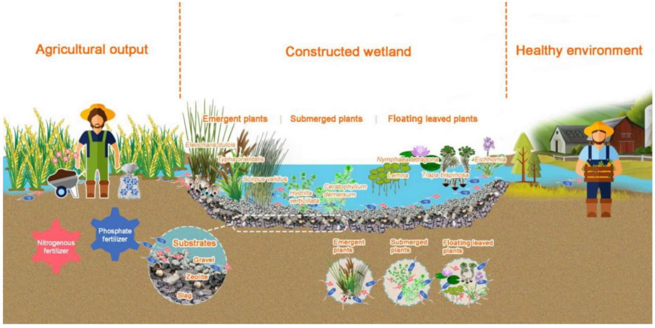 Water 15 02894 g001 Water 15 02894 g001