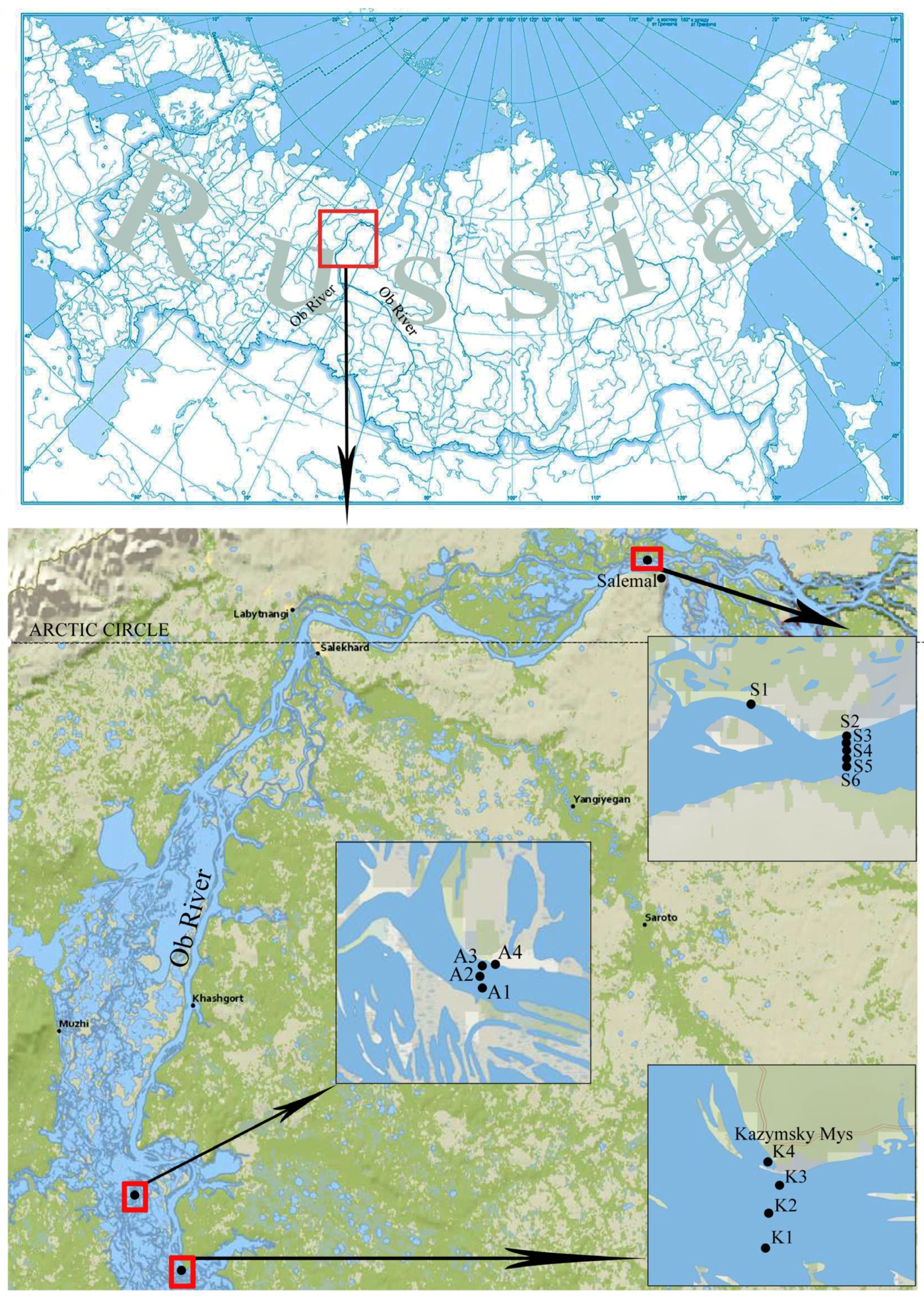 Water 15 03054 g001 Water 15 03054 g001