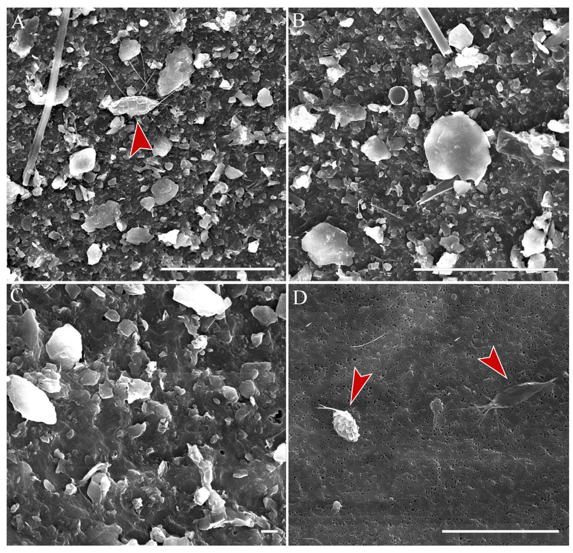 Water 15 03054 g002 Water 15 03054 g002