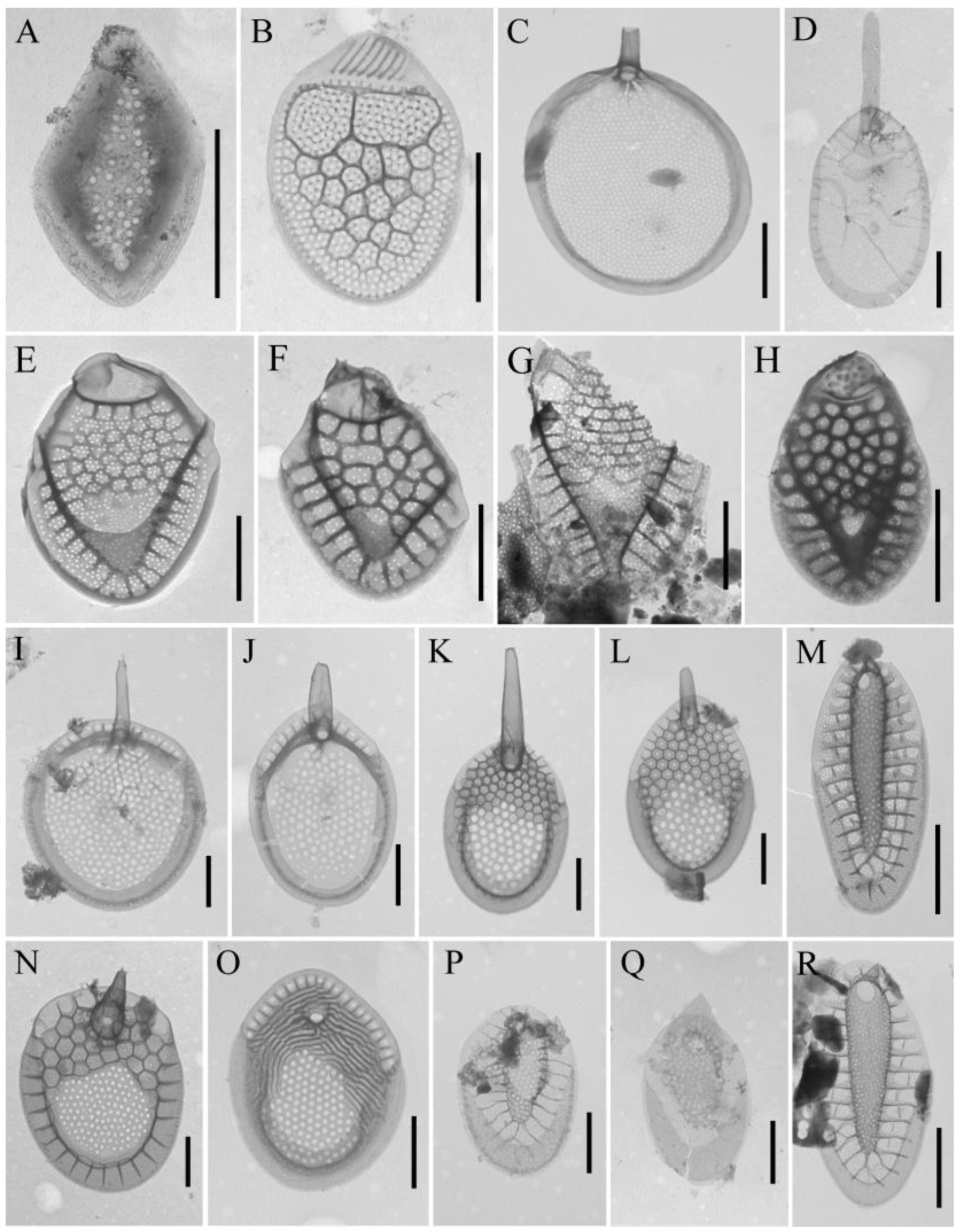 Water 15 03054 g007 Water 15 03054 g007