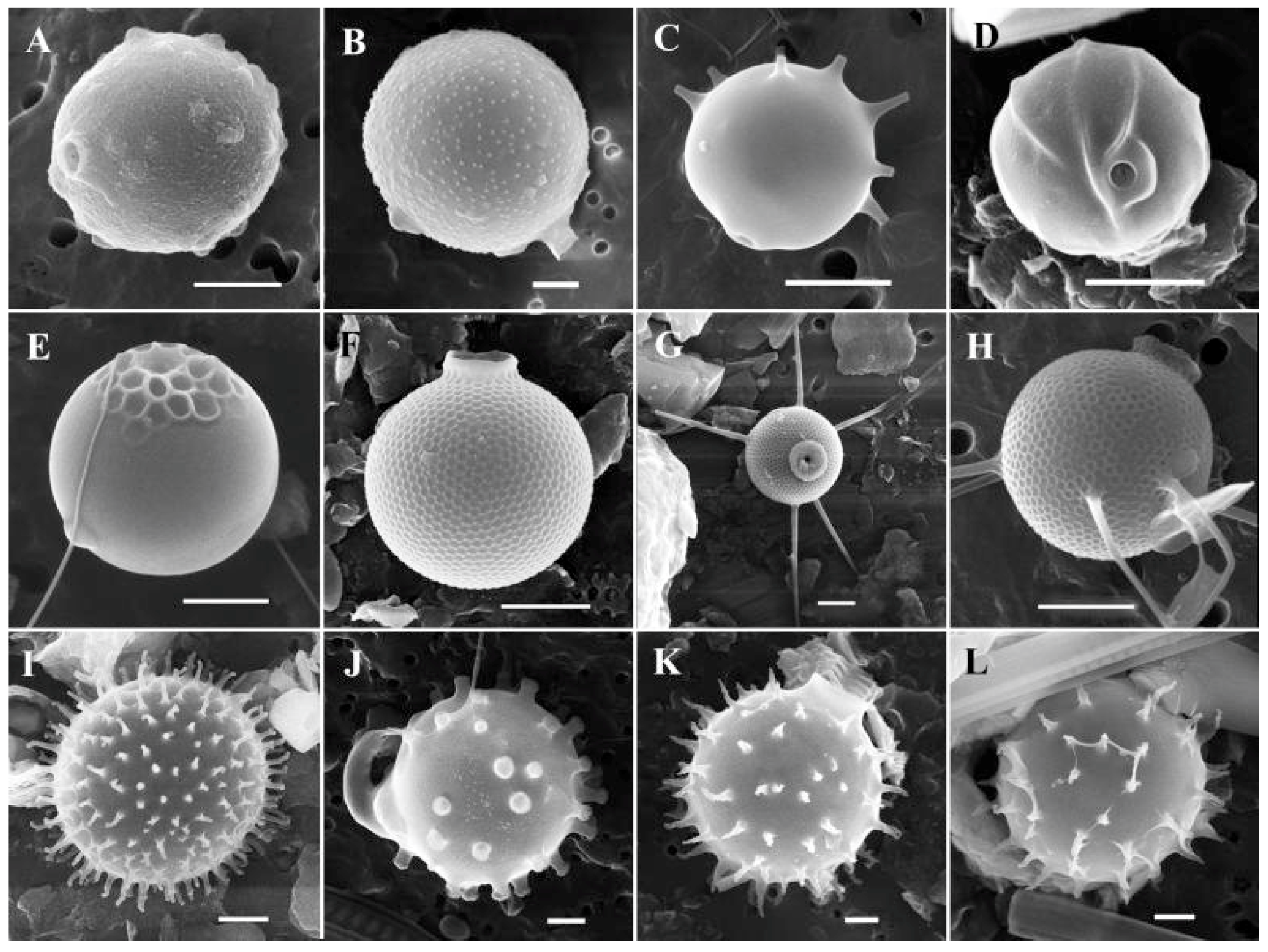 Water 15 03054 g010 Water 15 03054 g010