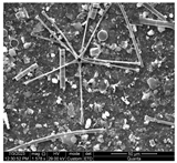 Water 15 03054 i001 Water 15 03054 i001