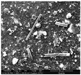 Water 15 03054 i002 Water 15 03054 i002