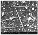 Water 15 03054 i003 Water 15 03054 i003