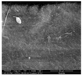 Water 15 03054 i004 Water 15 03054 i004