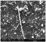 Water 15 03054 i005 Water 15 03054 i005