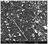 Water 15 03054 i006 Water 15 03054 i006