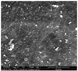 Water 15 03054 i008 Water 15 03054 i008