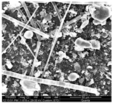 Water 15 03054 i009 Water 15 03054 i009