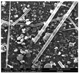 Water 15 03054 i010 Water 15 03054 i010