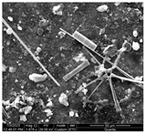 Water 15 03054 i011 Water 15 03054 i011