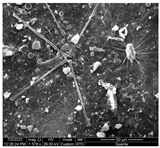 Water 15 03054 i012 Water 15 03054 i012