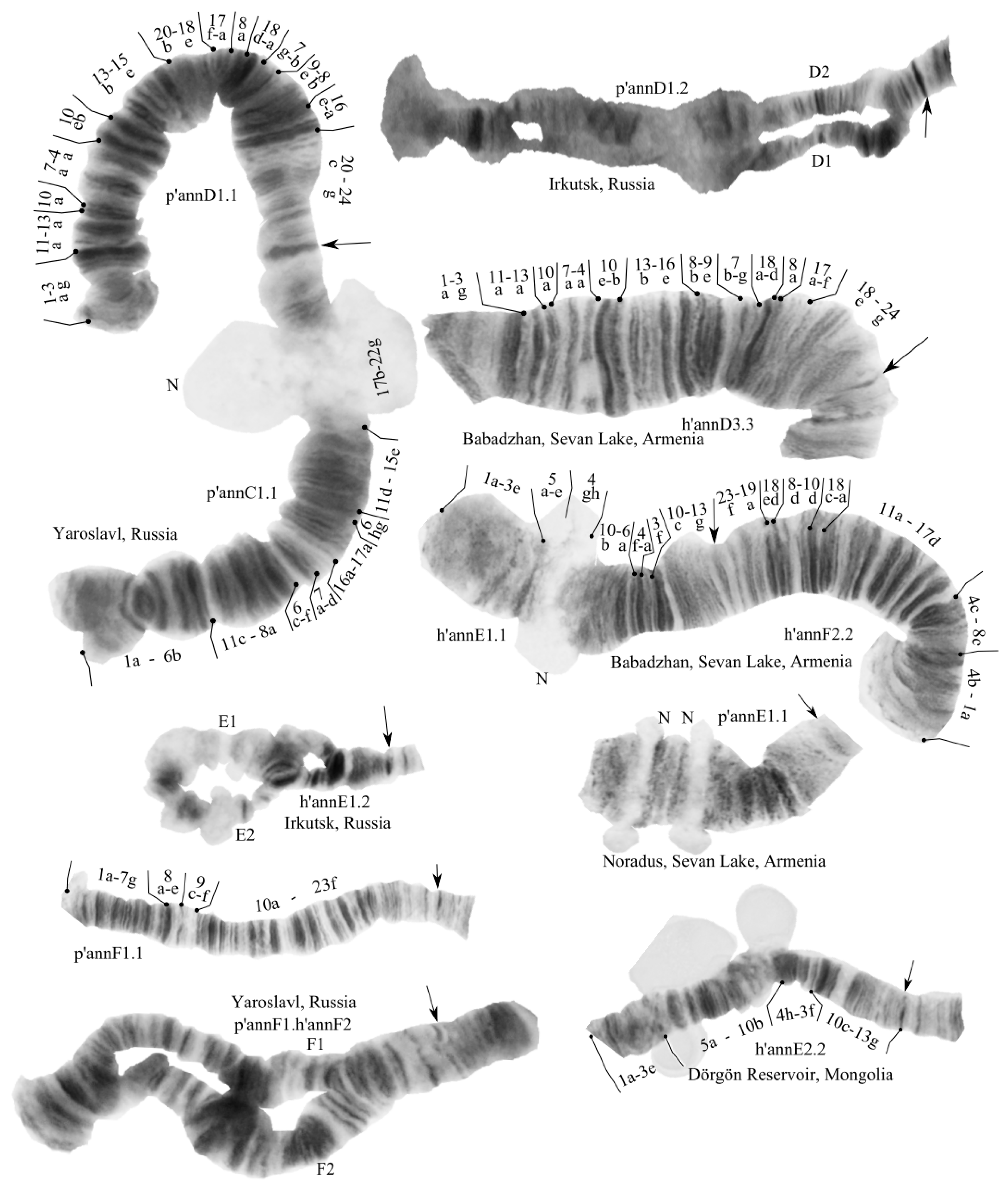 Water 15 03114 g001b