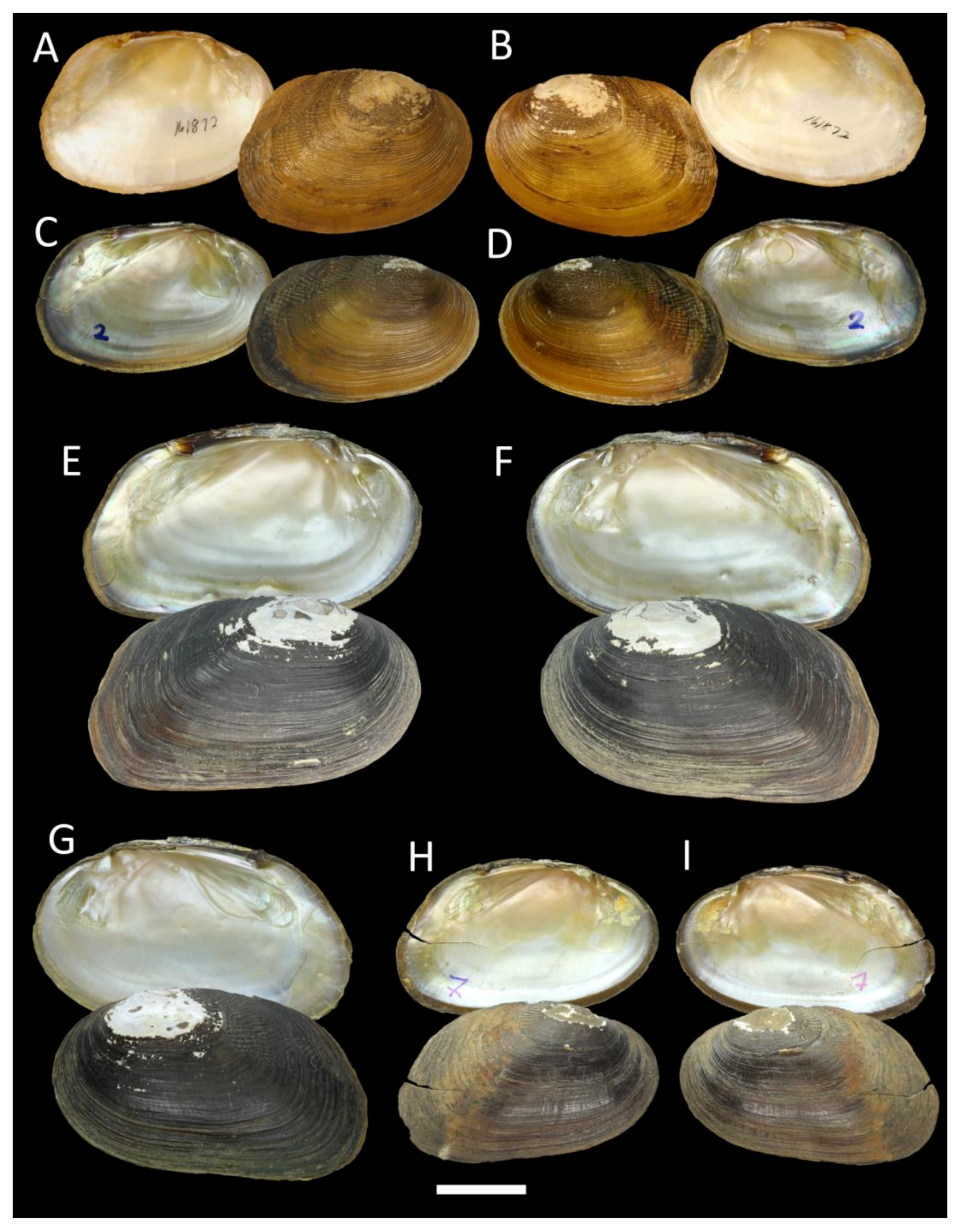 Water 15 03117 g004 Water 15 03117 g004