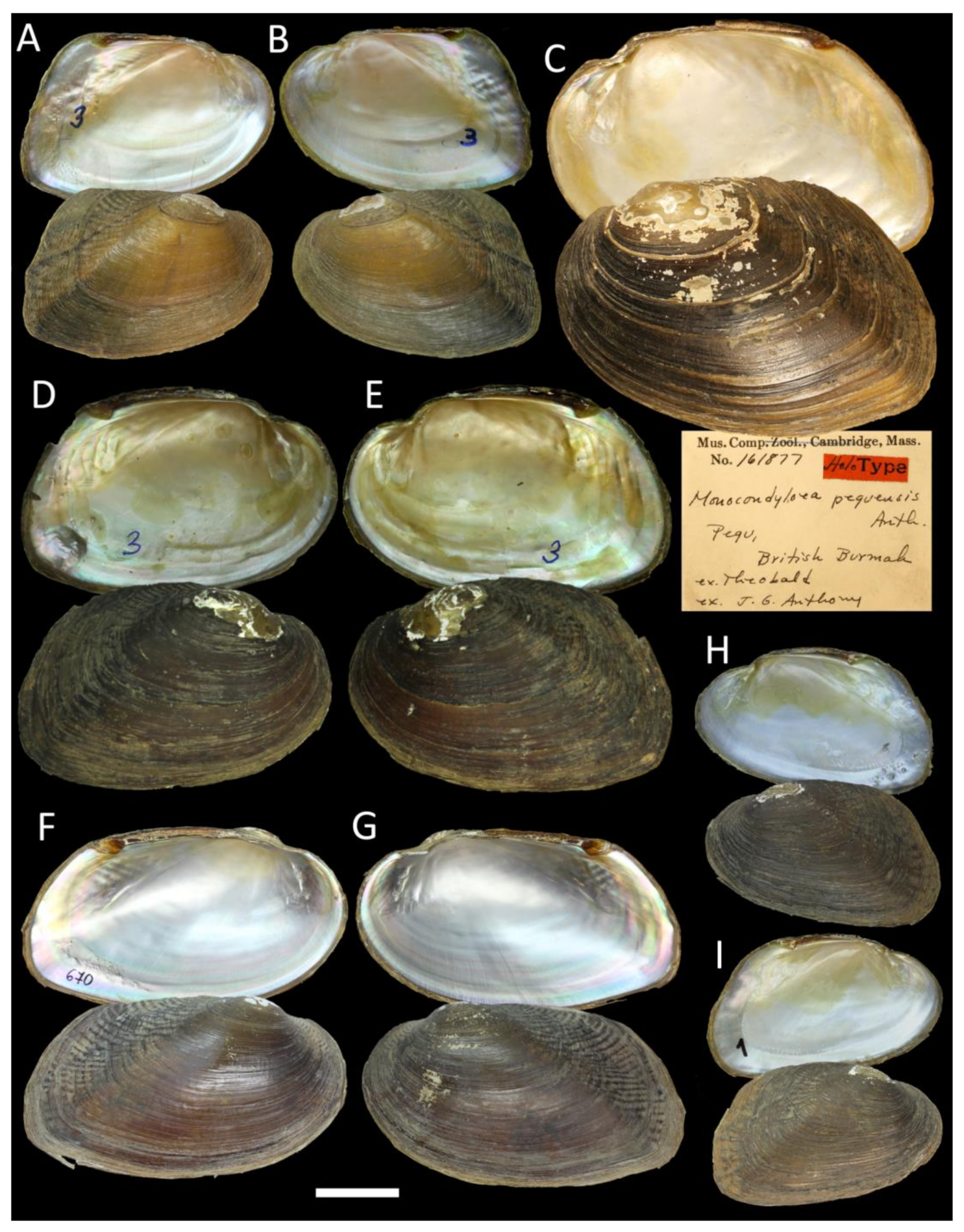 Water 15 03117 g005 Water 15 03117 g005