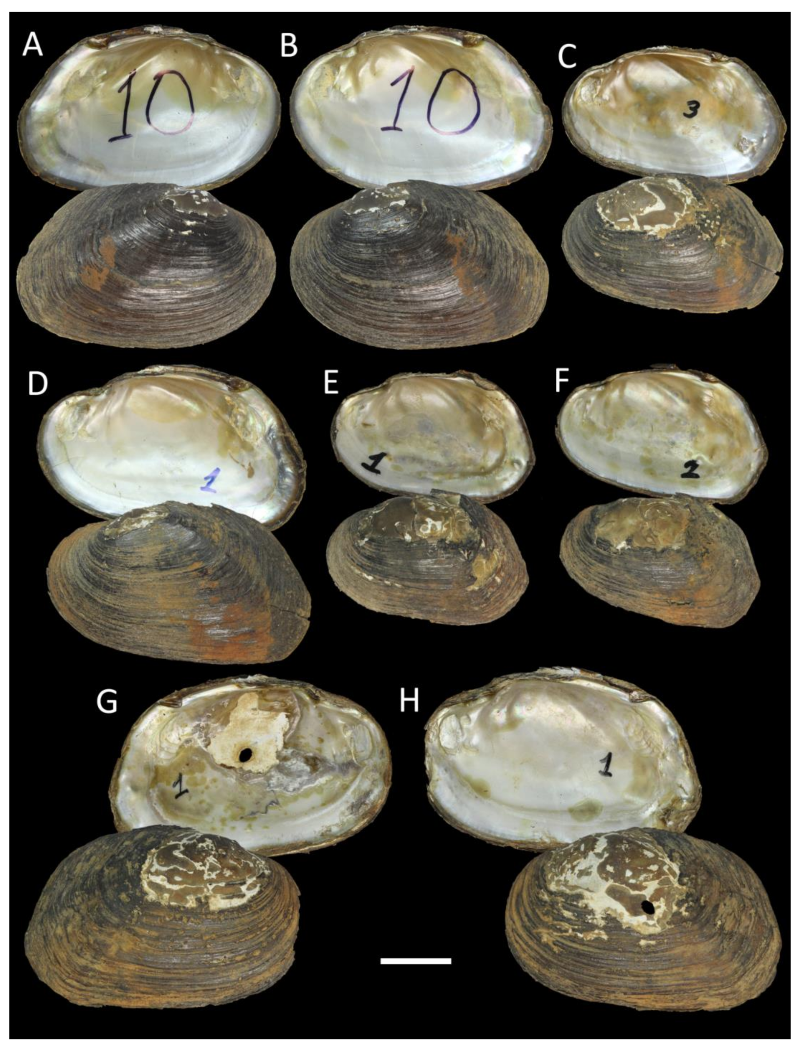 Water 15 03117 g006 Water 15 03117 g006