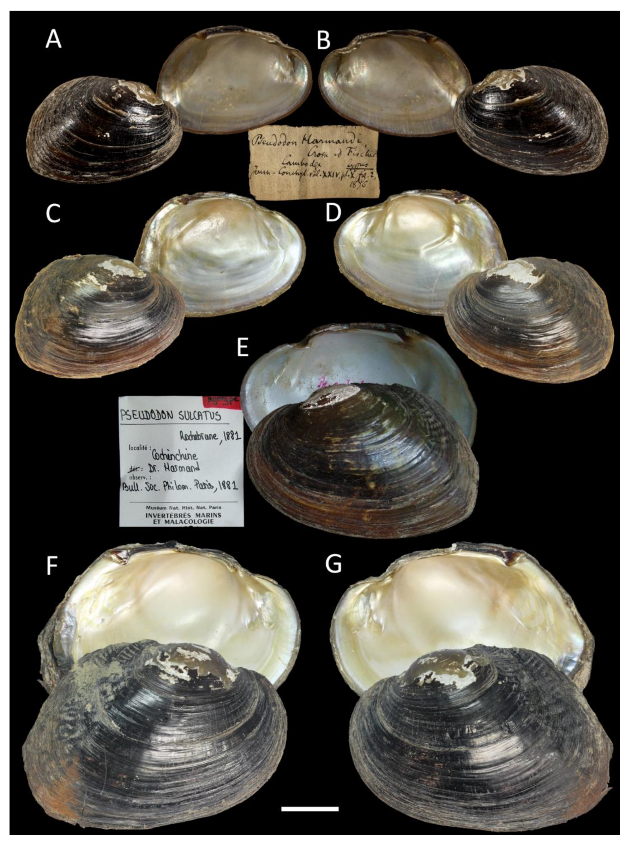 Water 15 03117 g007 Water 15 03117 g007