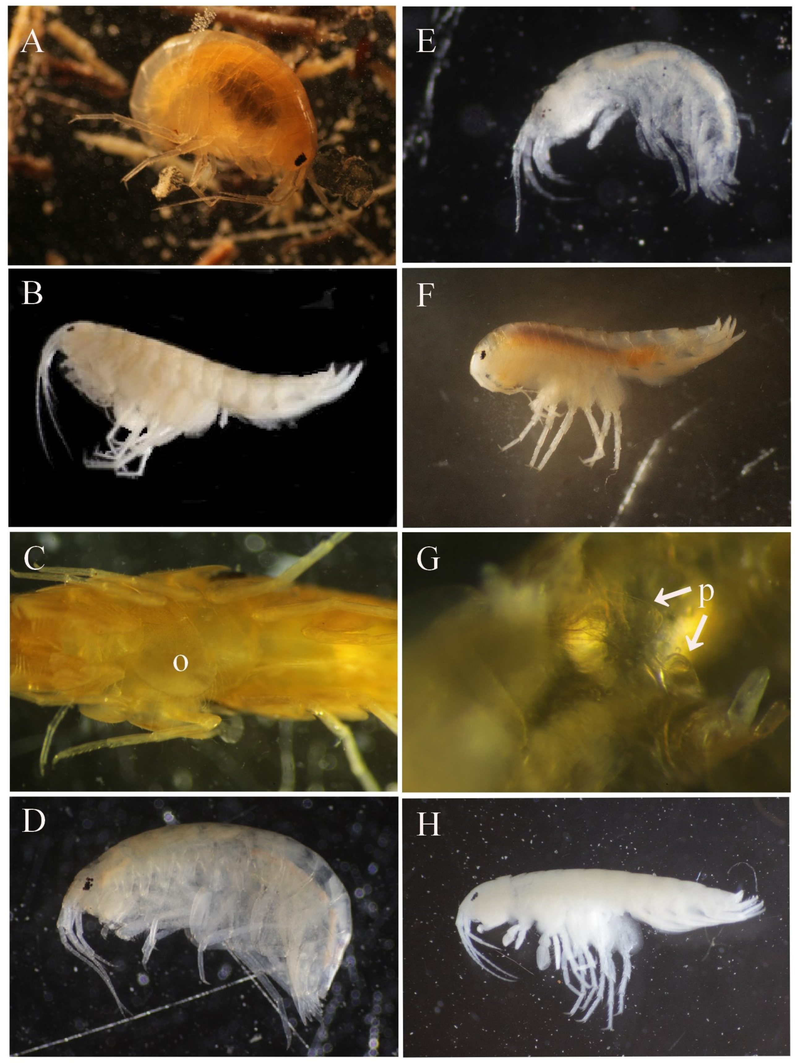 Water 15 03188 g002 Water 15 03188 g002