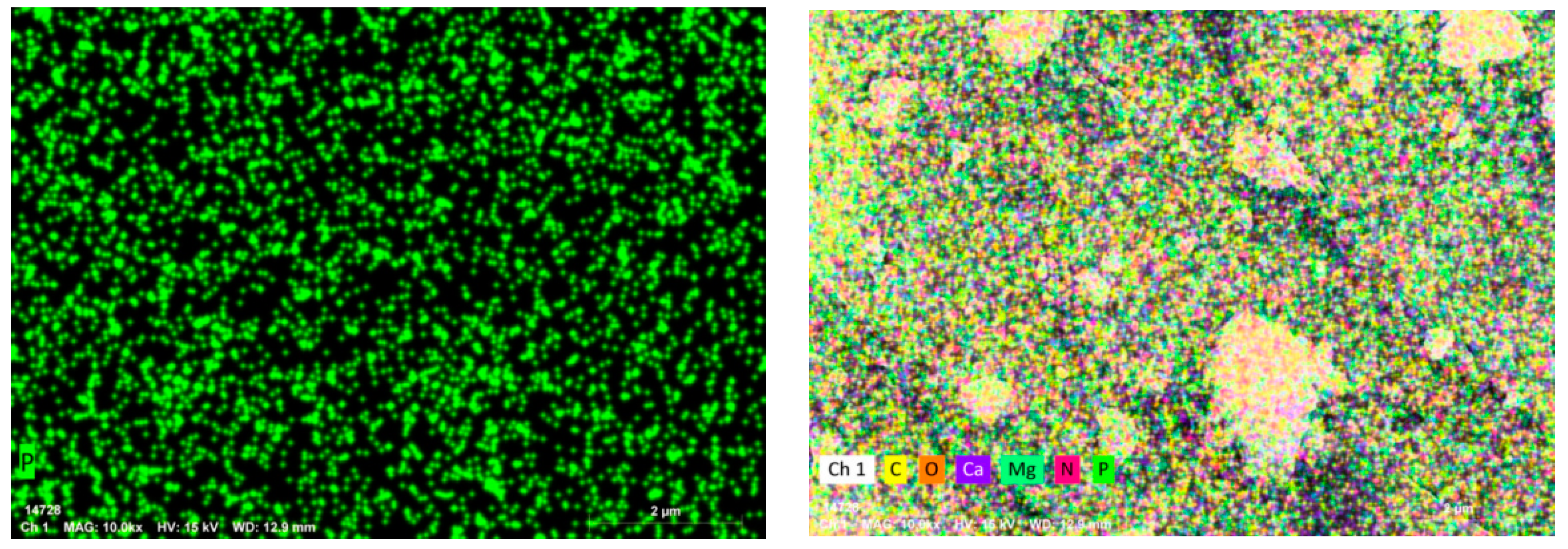 Water 15 03230 g010b