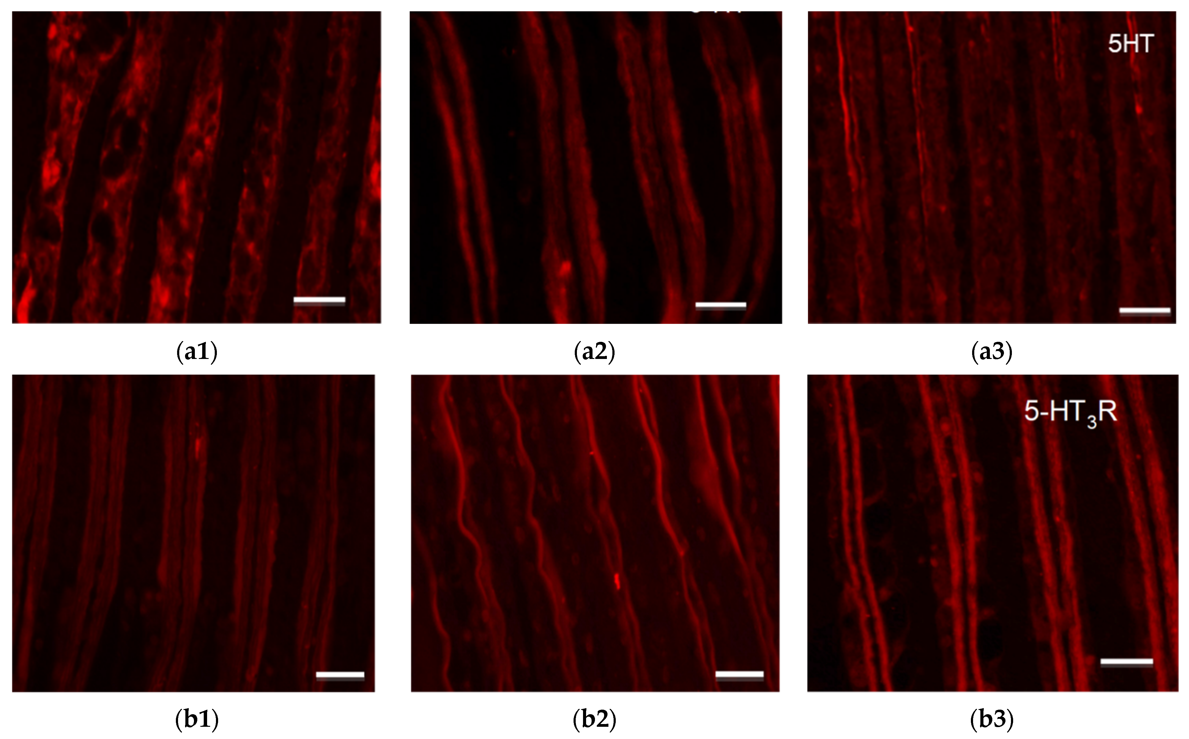 Water 15 03258 g006a