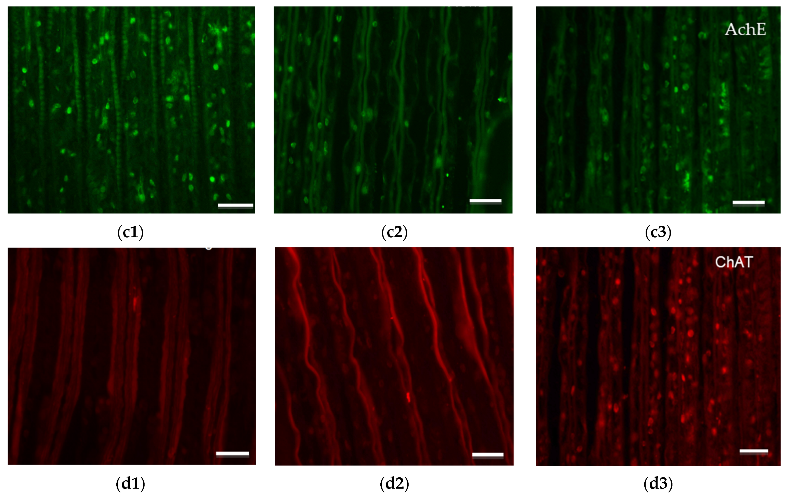 Water 15 03258 g006b