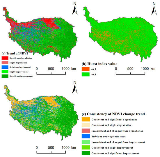 Analysis of Vegetation Dynamics and Driving Mechanisms on